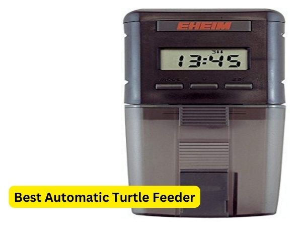8 Best Automatic Turtle Feeder in 2023 | Reviewed By Real Users