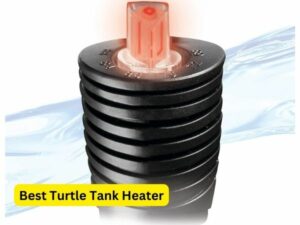 Best Turtle Tank Heater