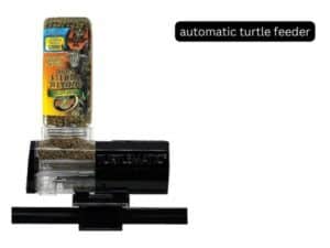 automatic turtle feeder