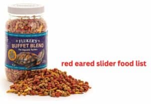 red eared slider food list