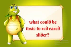 toxic to red eared slider