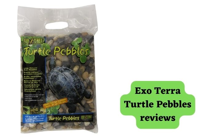 Exo Terra Turtle Pebbles reviews | turtlevoice