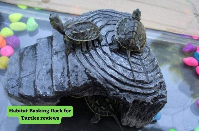 Habitat Basking Rock for Turtles reviews | turtlevoice